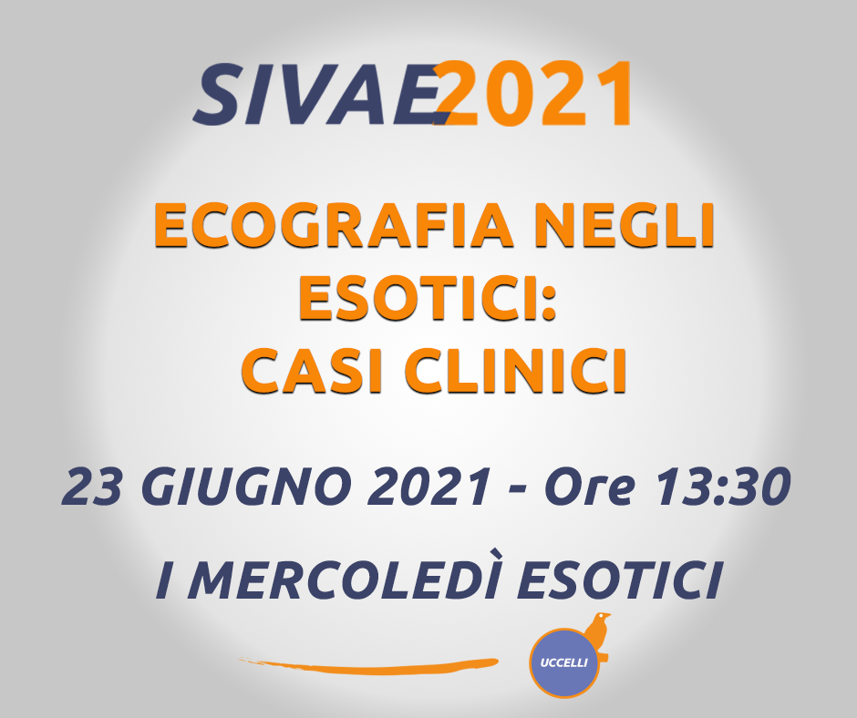 I mercoledì esotici