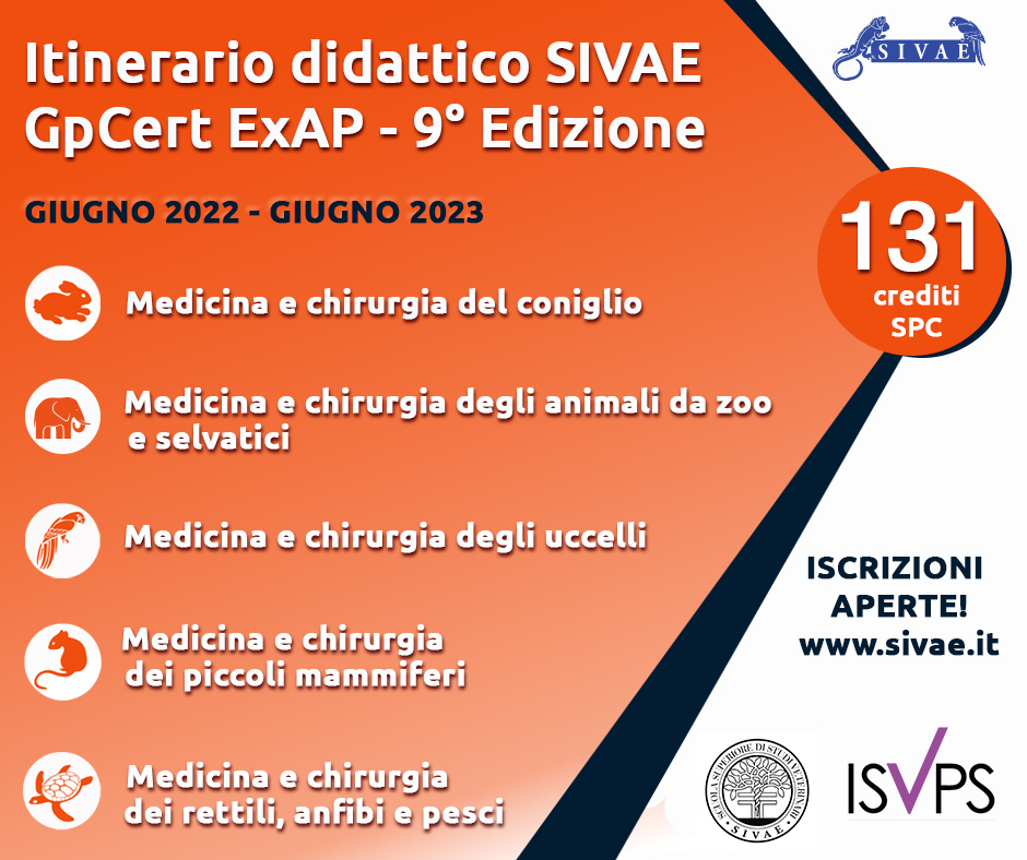 Itinerario SIVAE - 9^ edizione