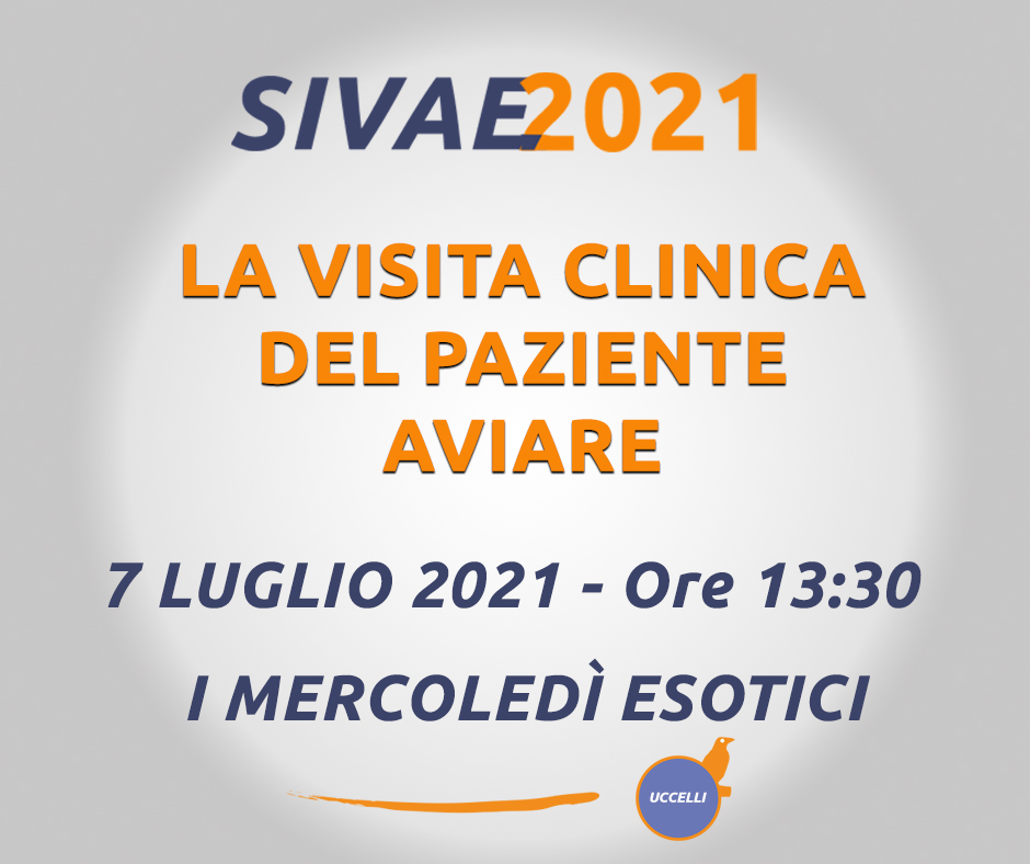 I mercoledì esotici