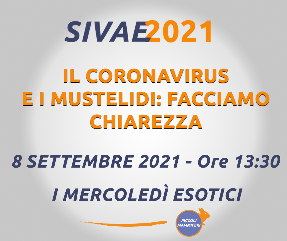 I mercoledì esotici