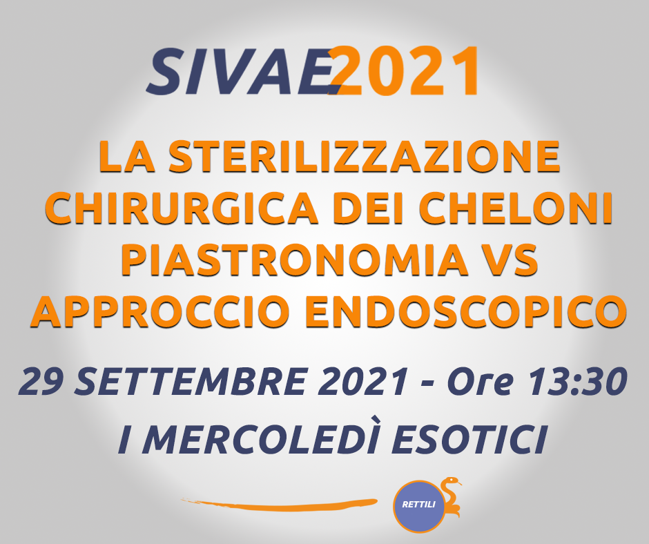 I mercoledì esotici