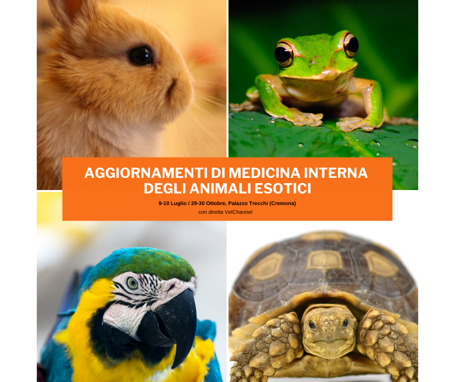 Seminari Semestrali SIVAE 2022