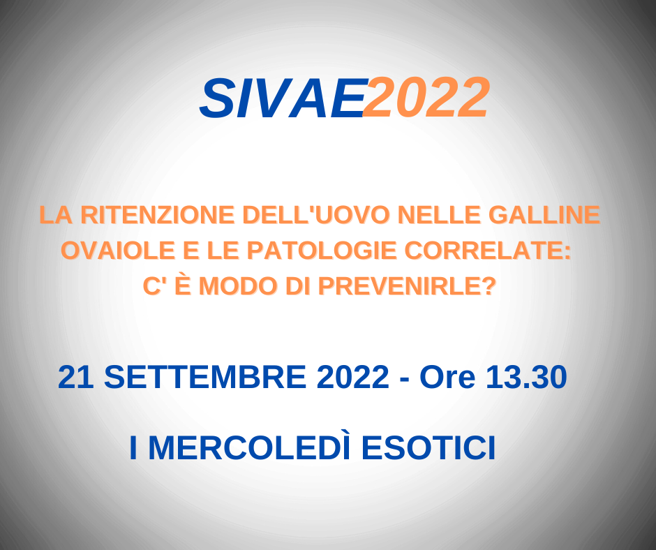 I mercoledì esotici