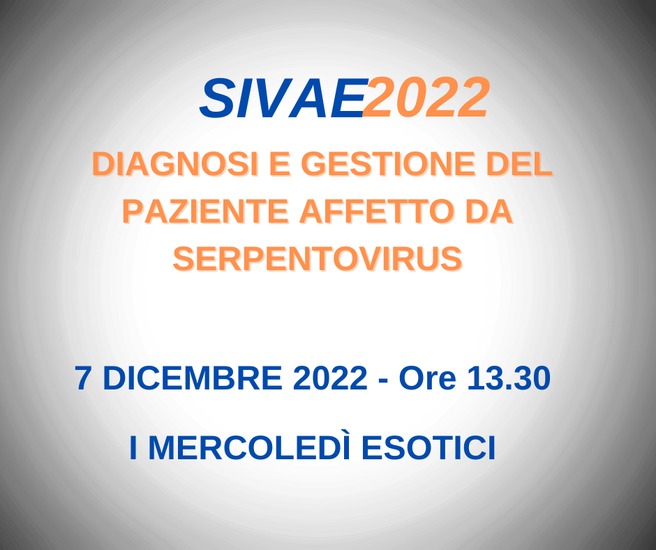 I mercoledì esotici