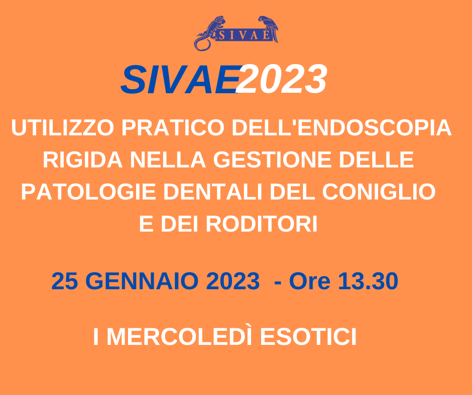 I mercoledì esotici