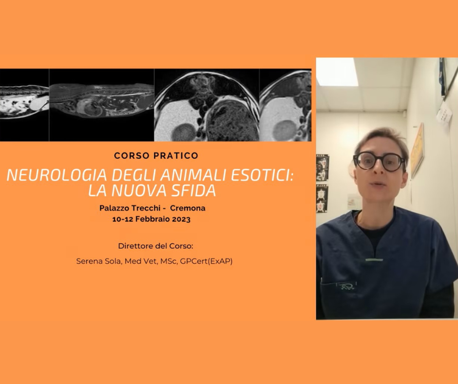 Corso Neurologia
