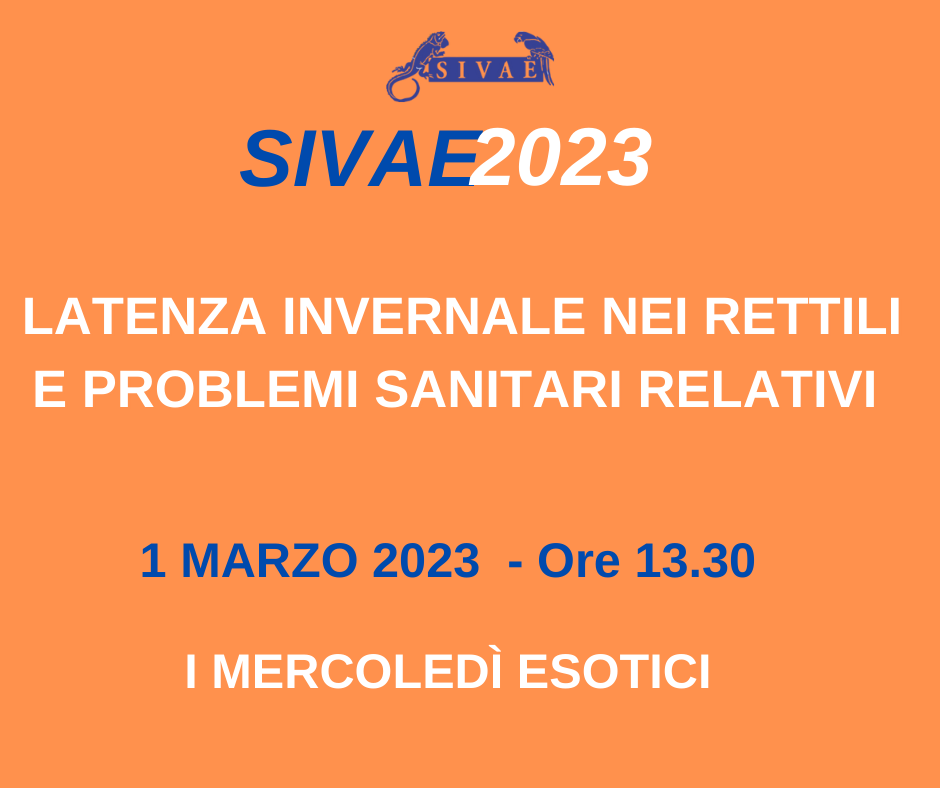 I mercoledì esotici