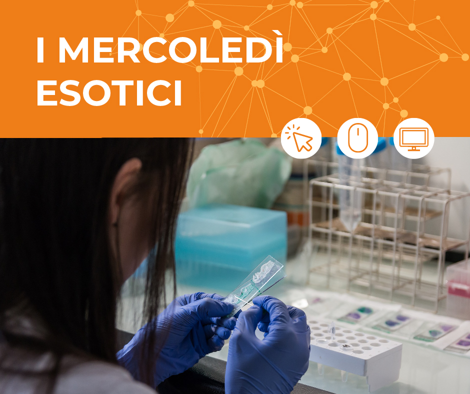 I mercoledì esotici