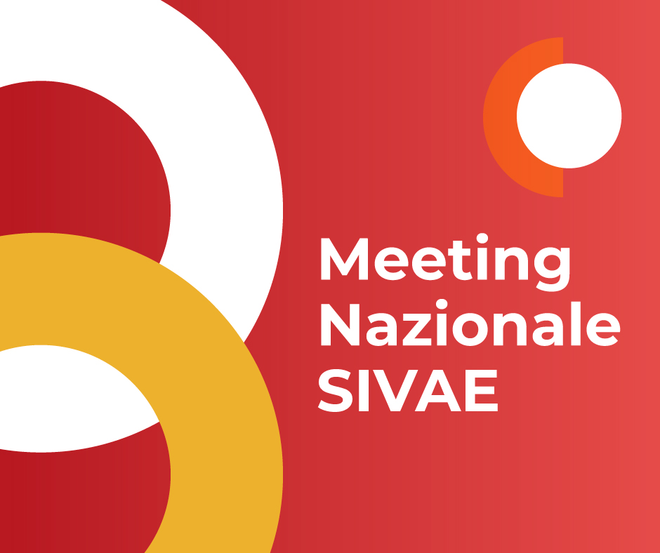 Meeting SIVAE 2023 