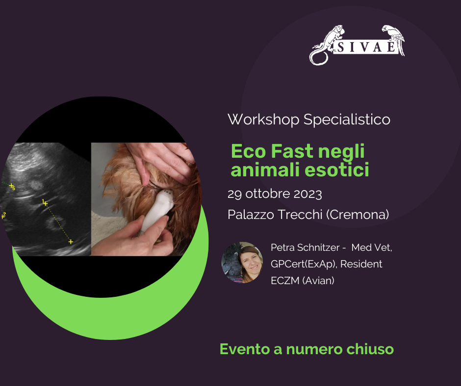 WORKSHOP SPECIALISTICO ECO-FAST