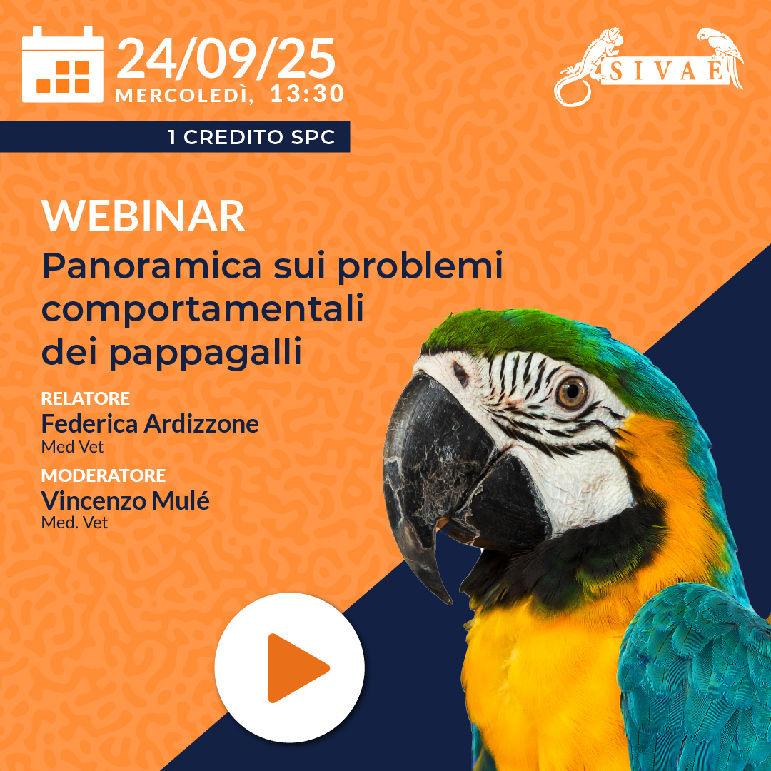 Panoramica sui problemi comportamentali dei pappagalli