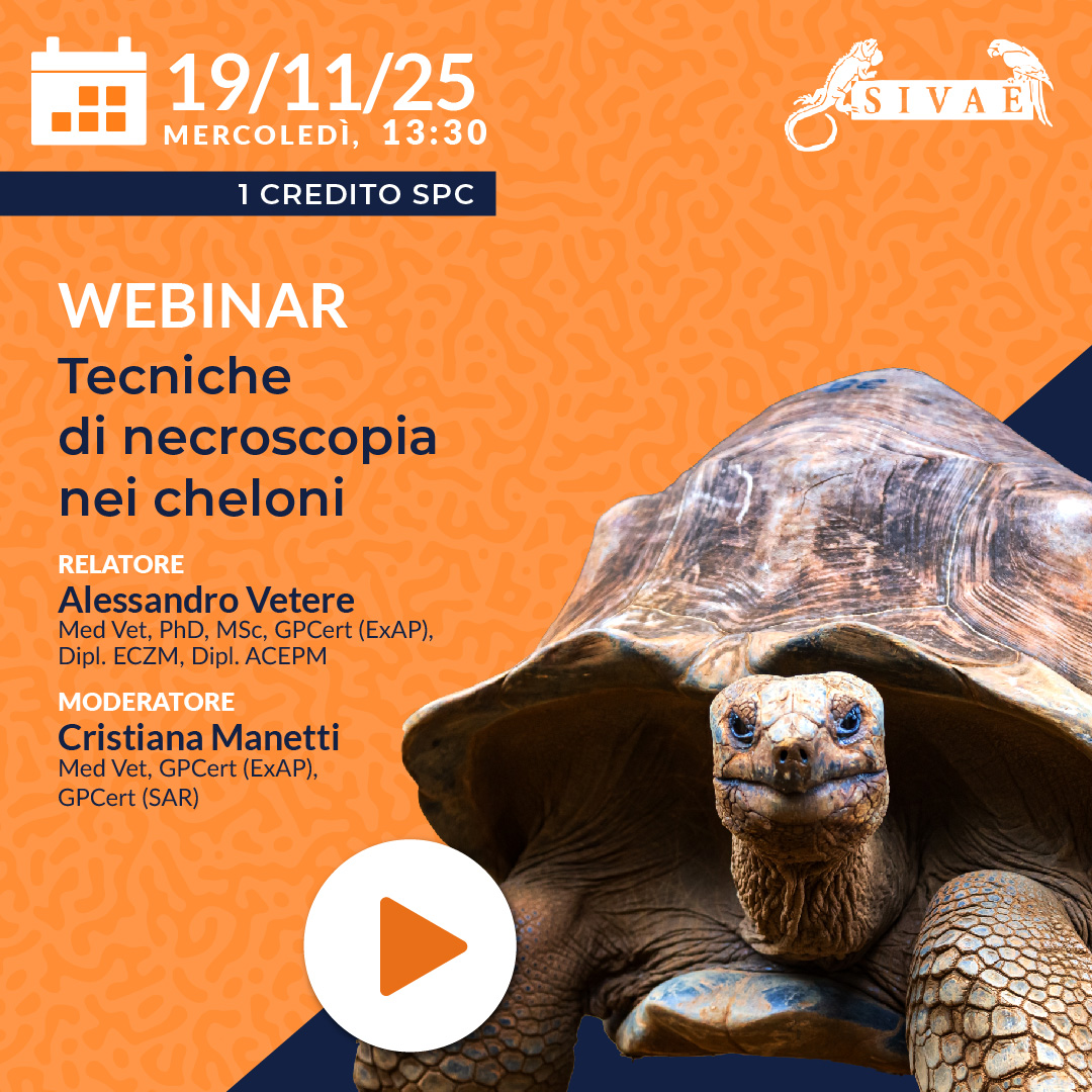 PROSSIMO MERCOLEDI' ESOTICO 