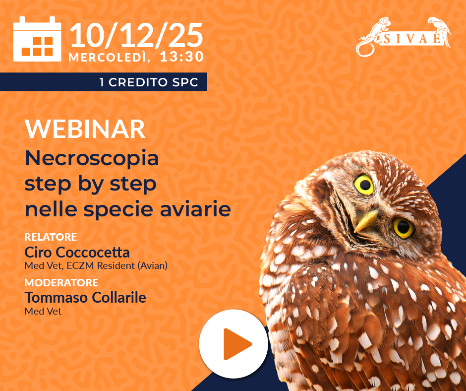 PROSSIMO MERCOLEDI' ESOTICO