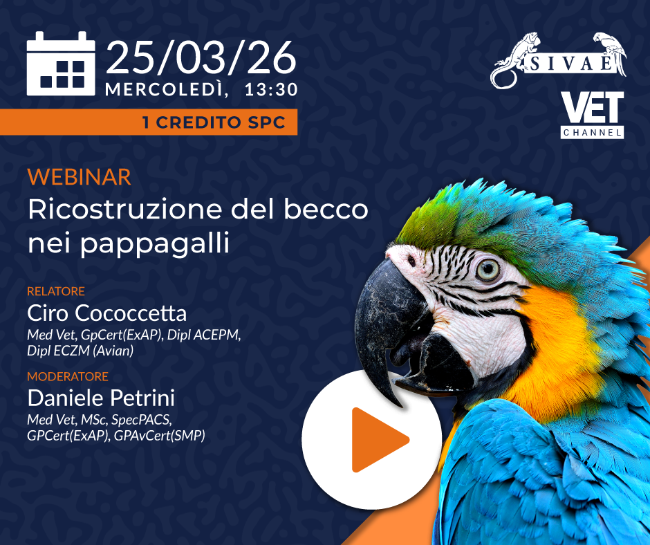 PROSSIMO MERCOLEDI' ESOTICO 