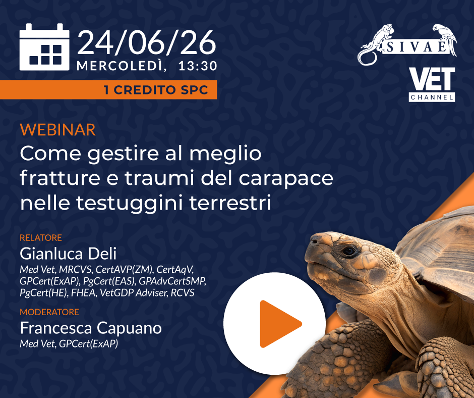 PROSSIMO MERCOLEDI' ESOTICO