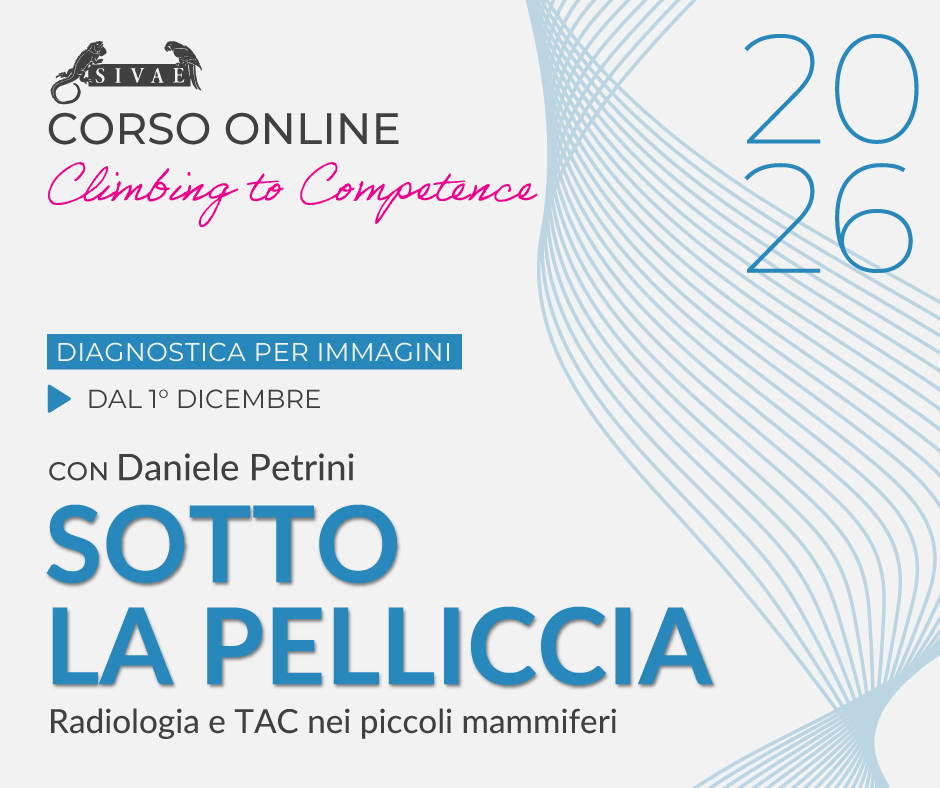 CORSO ONLINE